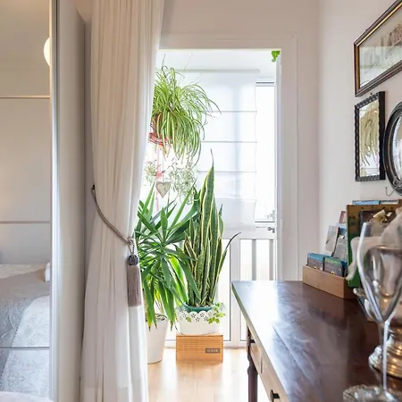 Orchidea Lägenhet Las Palmas de Gran Canaria