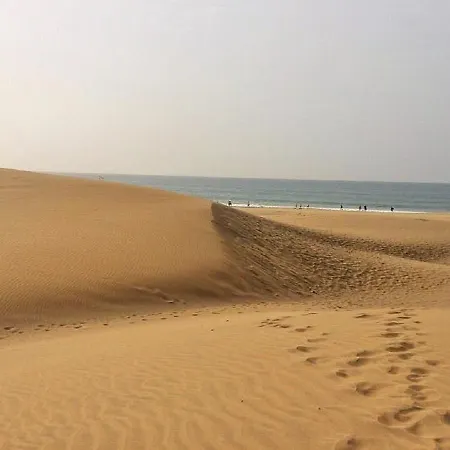 Orchidea アパート