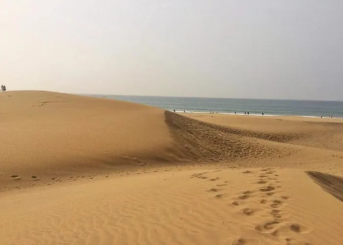 Orchidea Appartamento