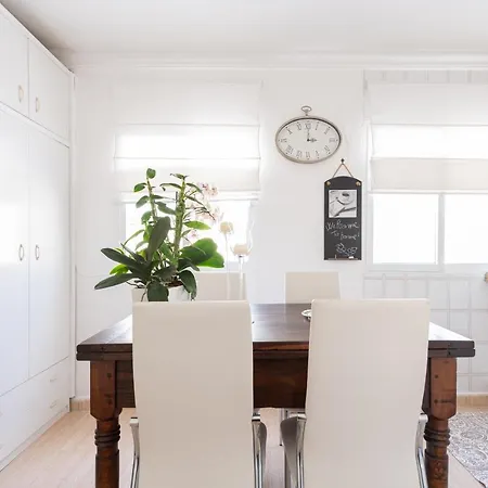 Orchidea * 라스팔마스