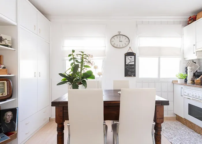 Orchidea * 라스팔마스