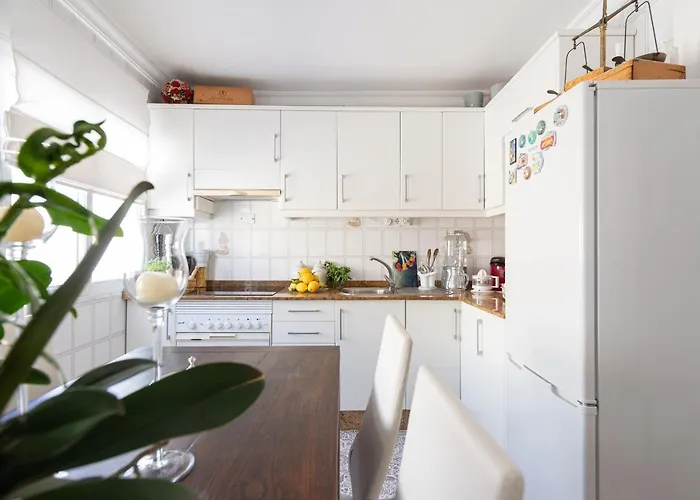 Orchidea 라스팔마스