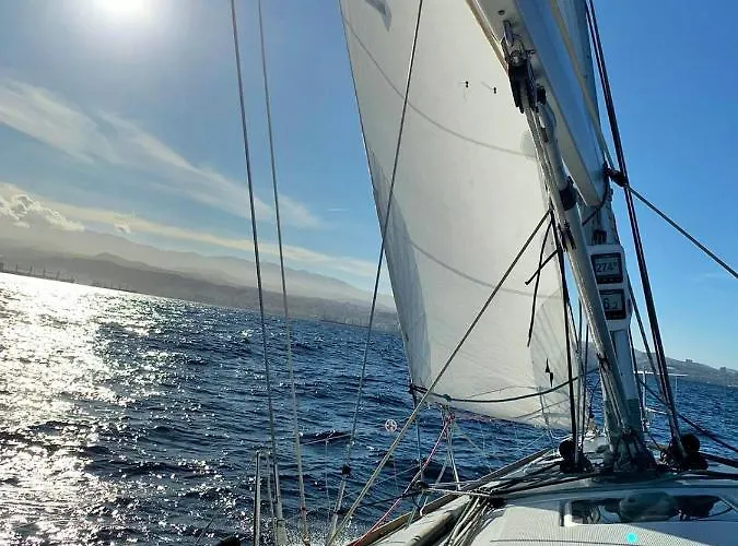 Orchidea 라스팔마스