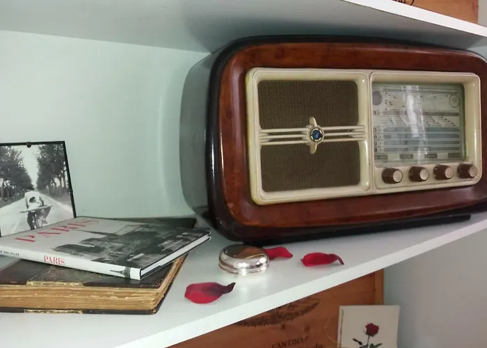 Orchidea * 라스팔마스